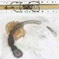 Monotypien und Experimente